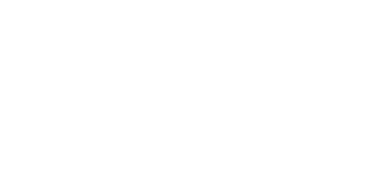 100 jours avec les gendarmes de bourgogne