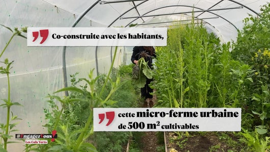 Les cols verts