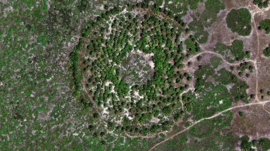 Roswell et l’île atomique