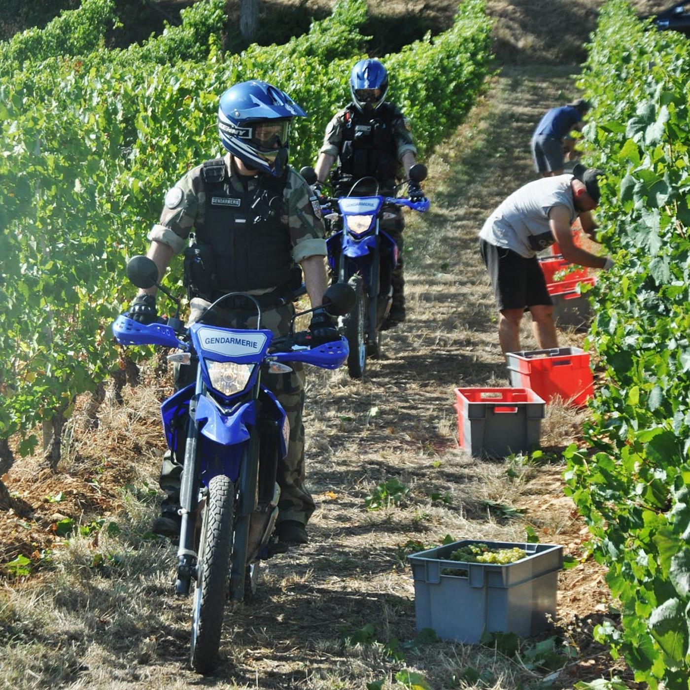 100 jours avec les gendarmes du Médoc