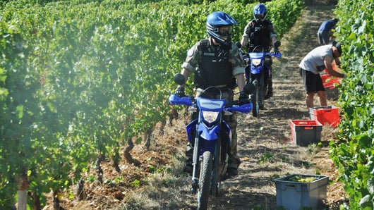 100 jours avec les gendarmes du Médoc