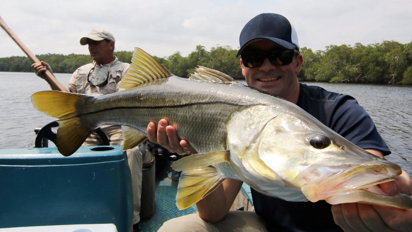 L'implacable barracuda