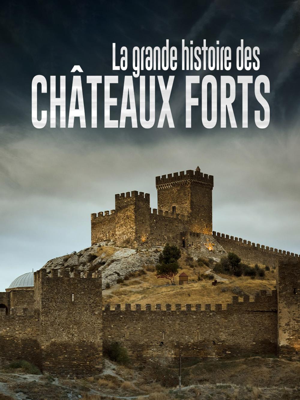 La grande histoire des châteaux forts