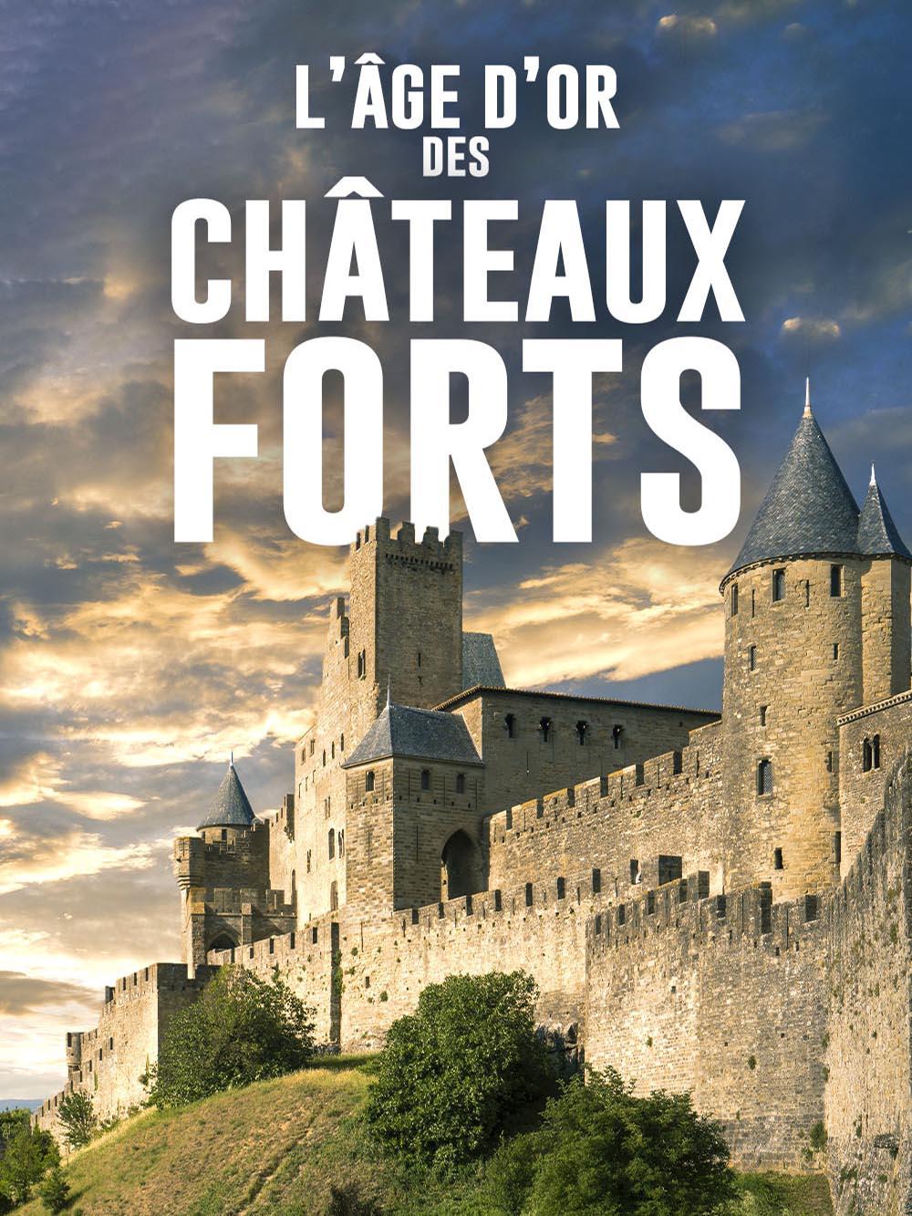 L'âge d'or des châteaux forts