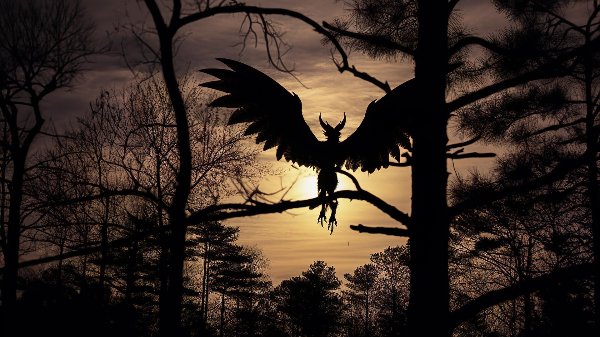 Le diable du New Jersey