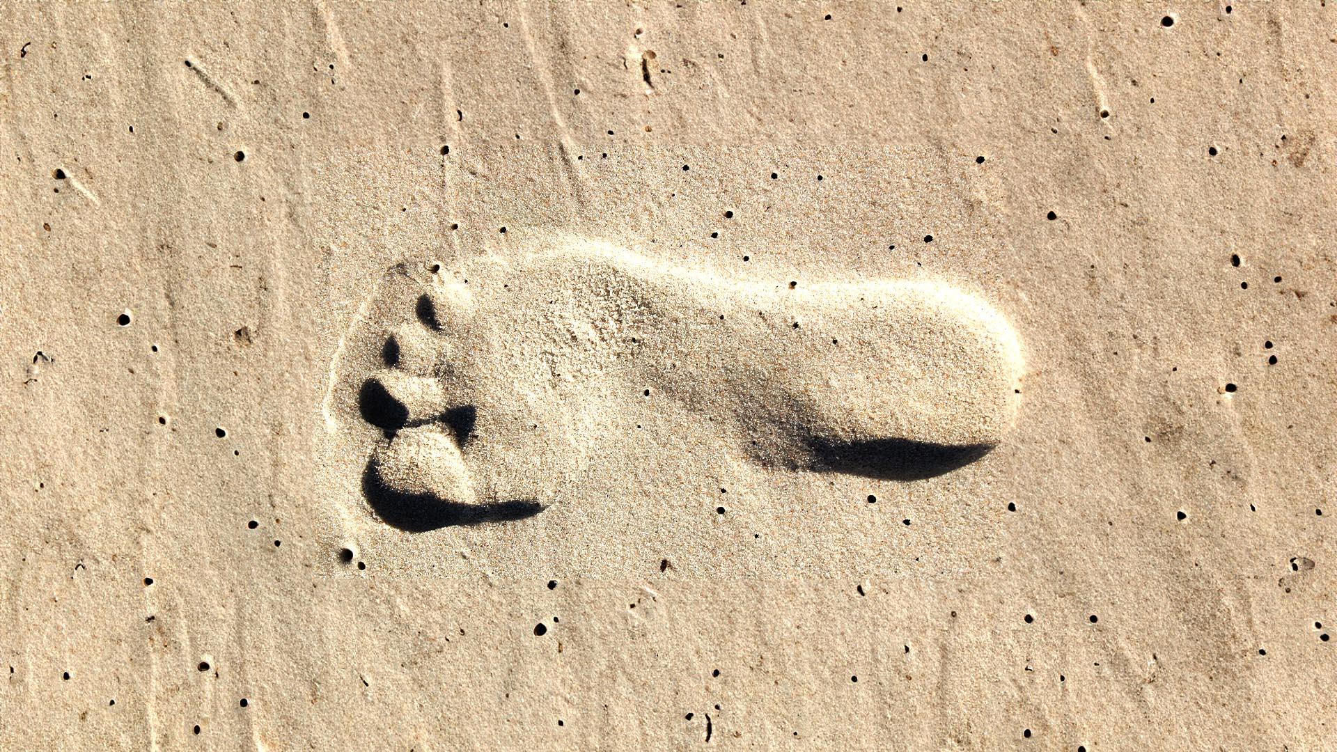 L'homme des sables du Mojave