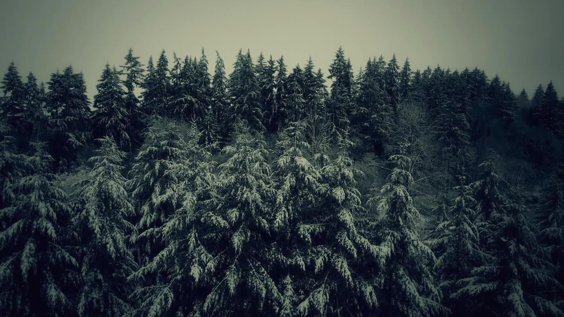 Terrain de chasse