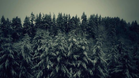 Terrain de chasse