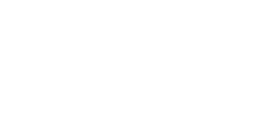 Puy du Fou : le génie des spectacles révélé