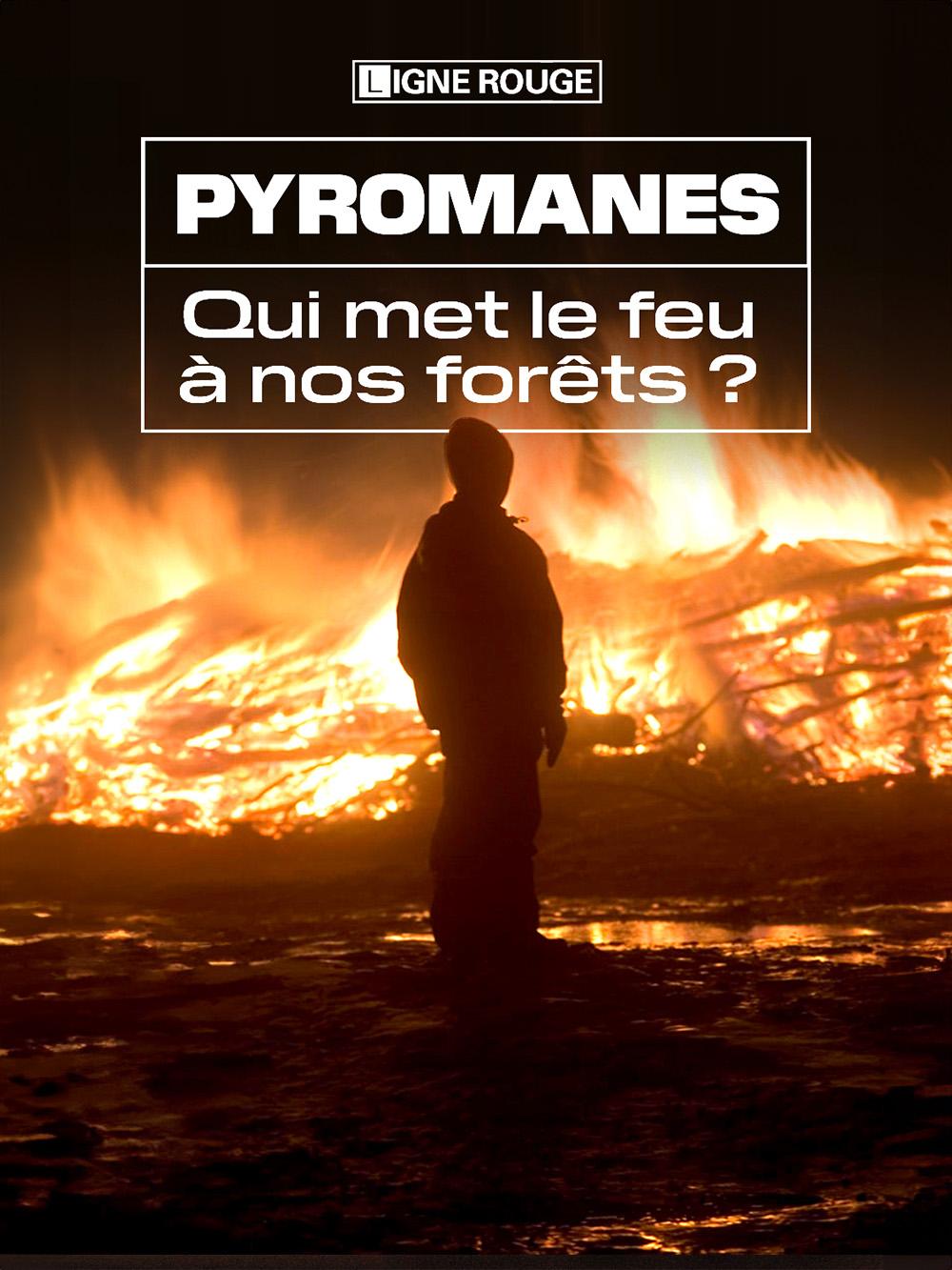 Pyromanes, qui met le feu à nos forêts ?