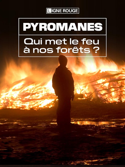 Pyromanes, qui met le feu à nos forêts ?