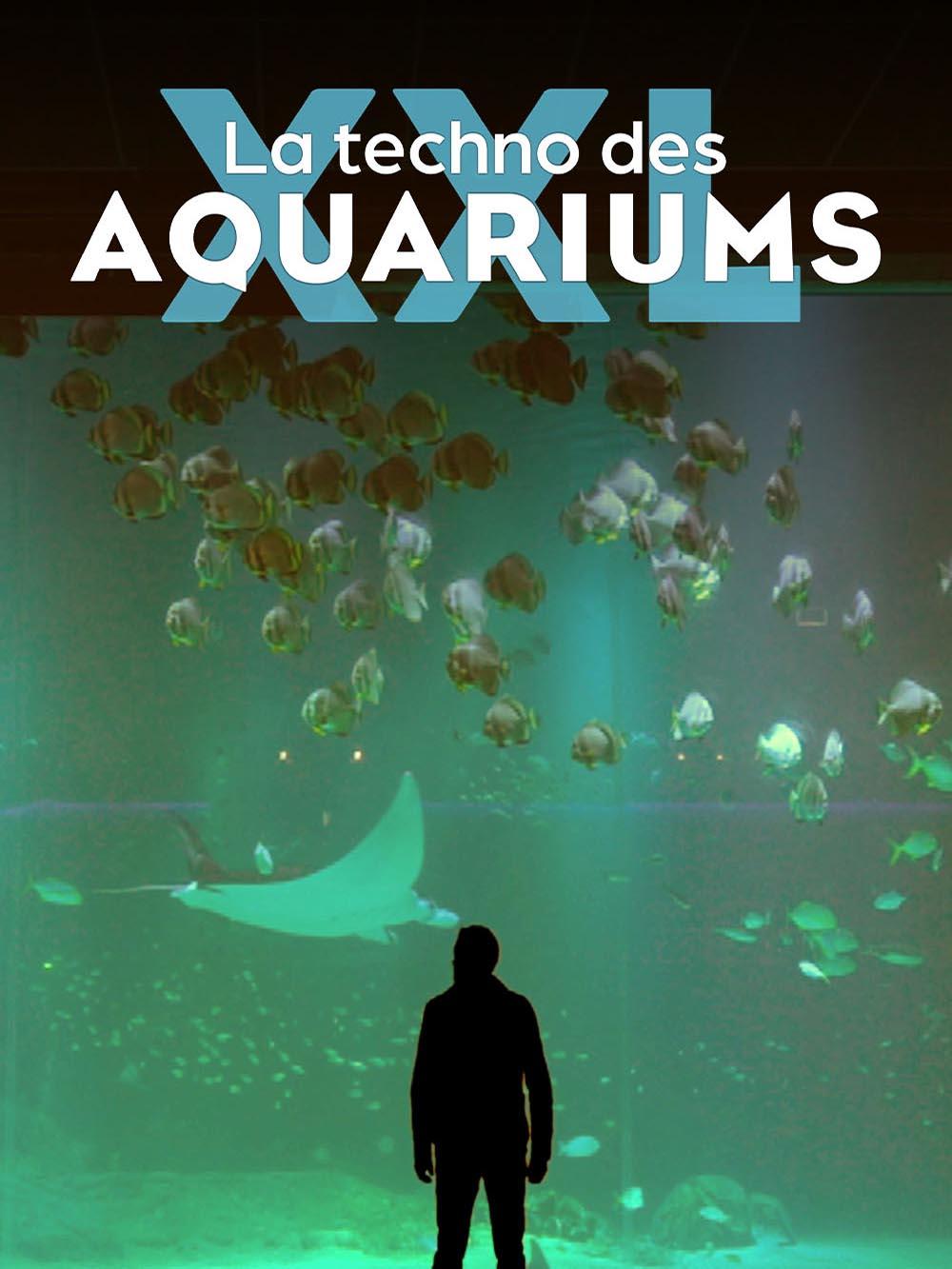 La techno des aquariums XXL