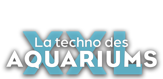 La techno des aquariums XXL