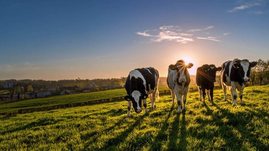 L'agriculture, c'est fini !