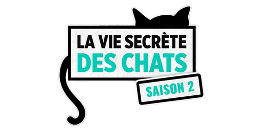 La vie secrète des chats