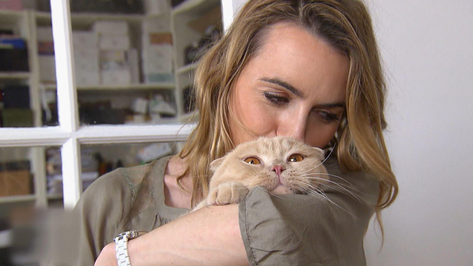 Du chat des villes au chat des champs