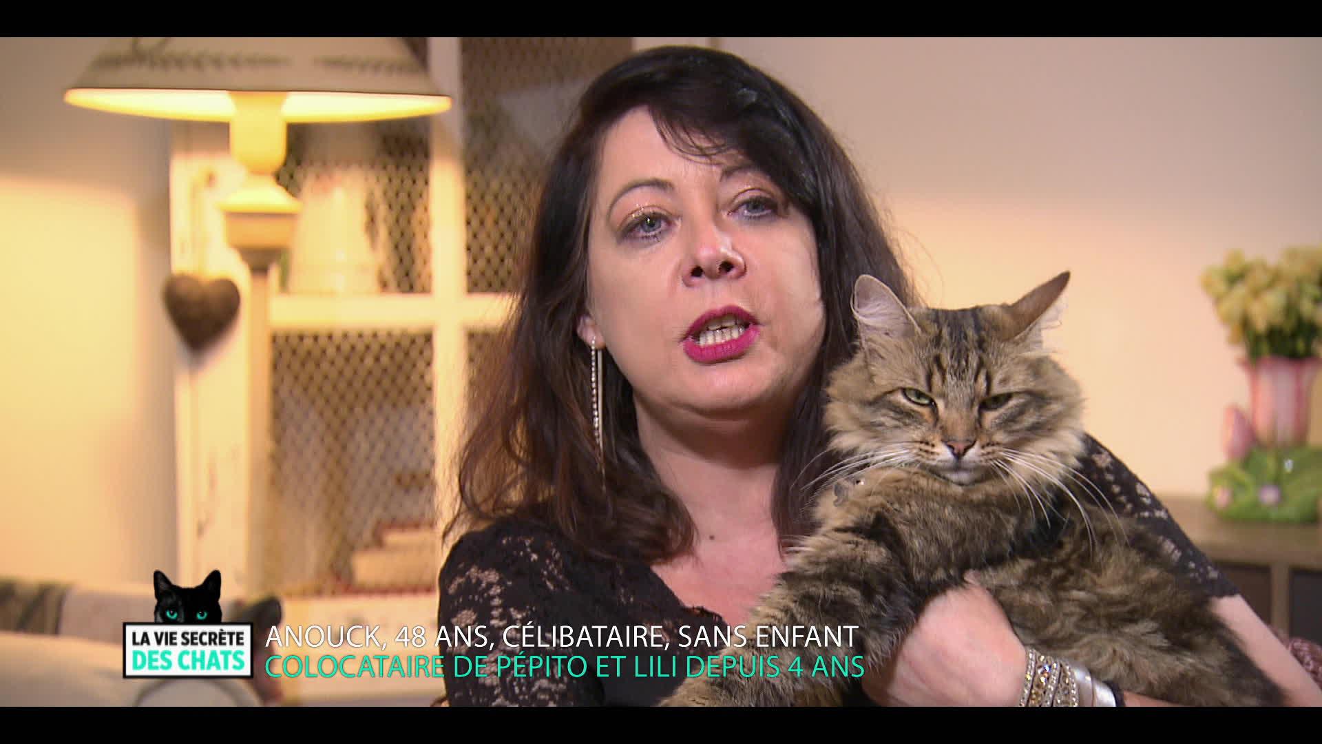 Itinéraire d'un chat trop gâté