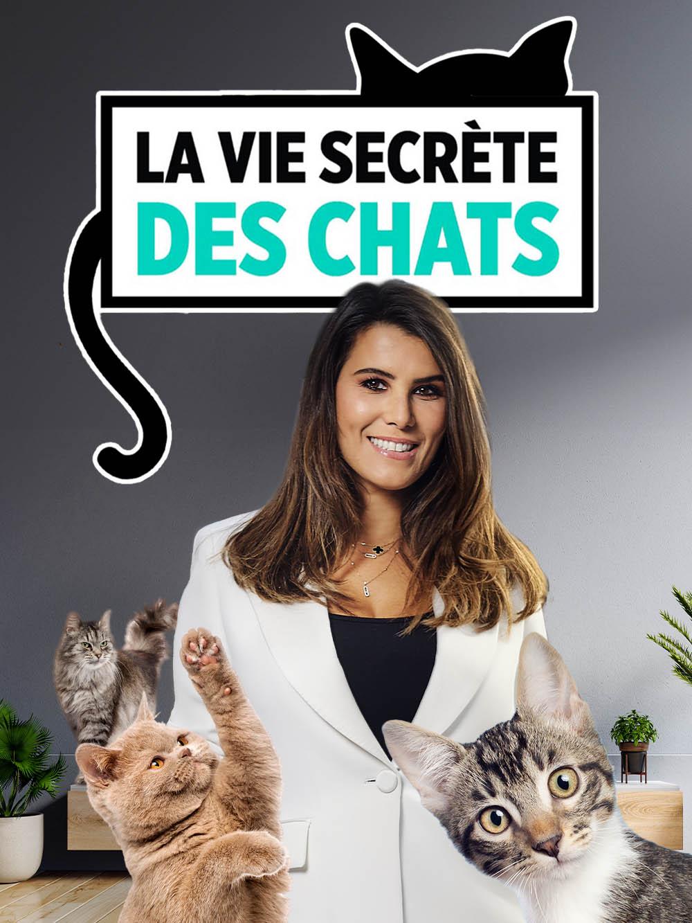 La vie secrète des chats