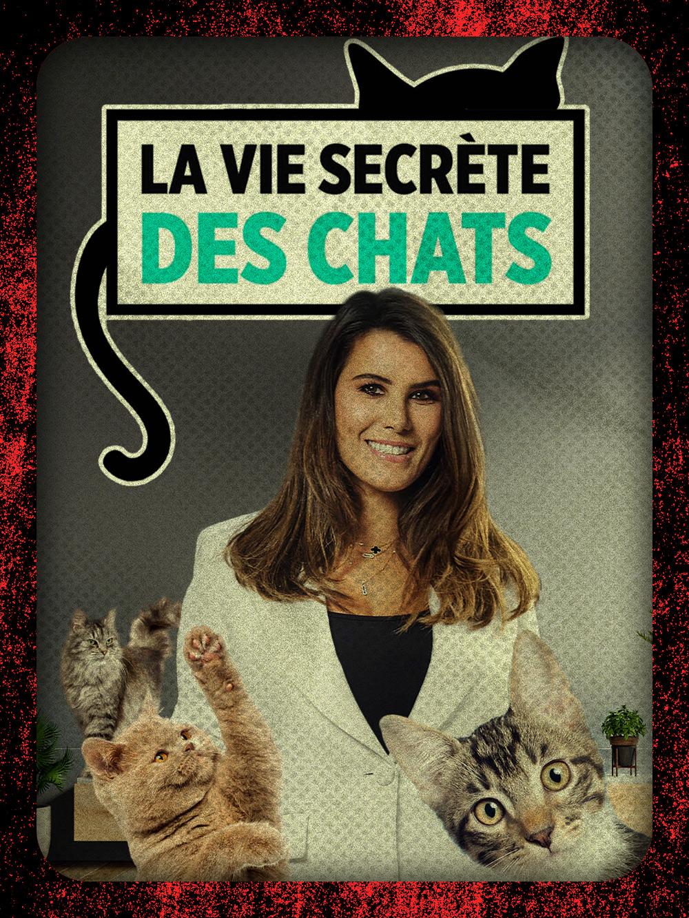 La vie secrète des chats