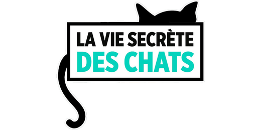 La vie secrète des chats