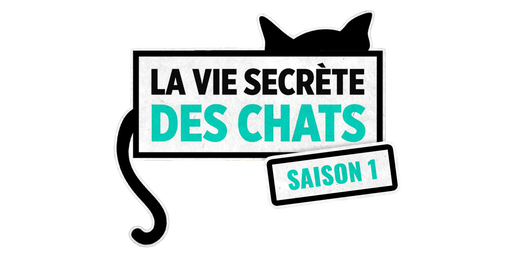 La vie secrète des chats
