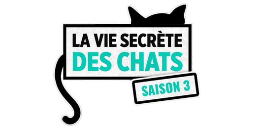 La vie secrète des chats 