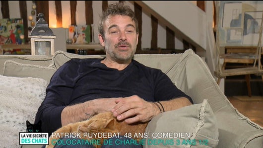 Le tour de France des chats de Patrick Puydebat