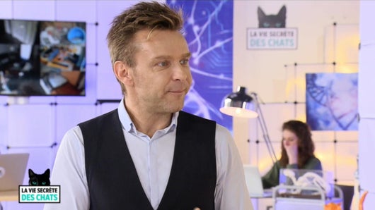 Le chat et l'homme: l'union sacrée ? Avec Jeanfi Janssens