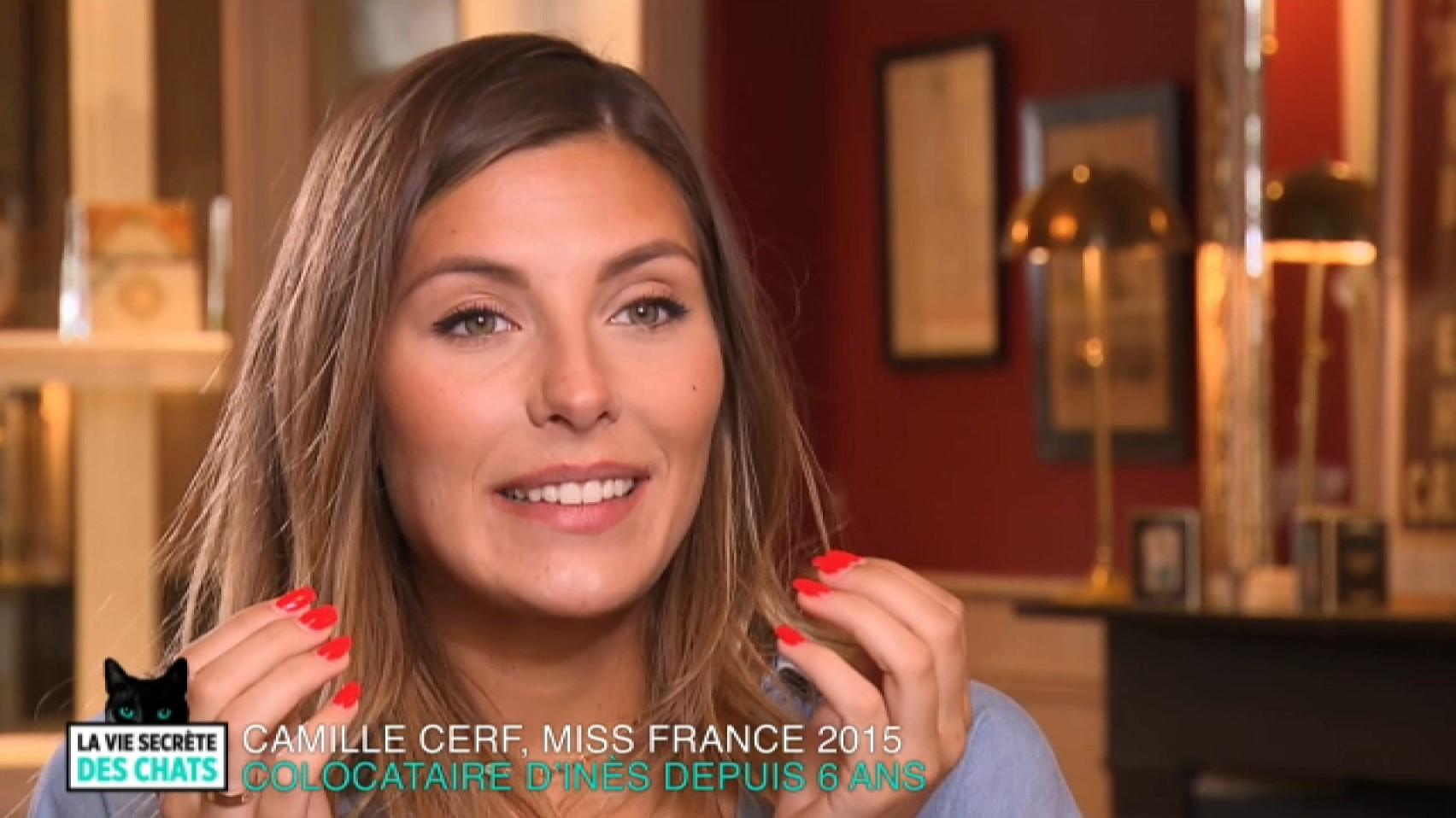 Une vie (casanière) de chat avec Camille Cerf