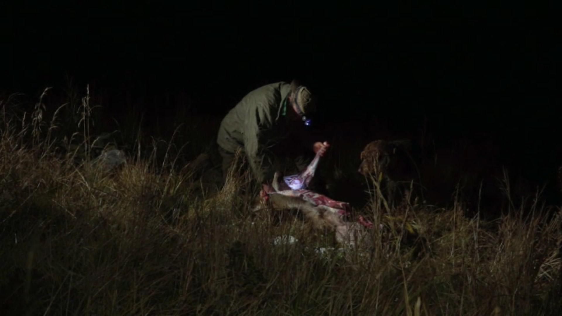 Chute dans les ténèbres