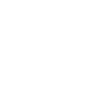 epg-bfm_2