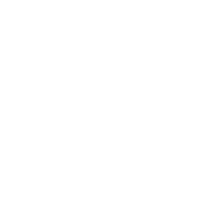 epg-bfm_grands_reportages